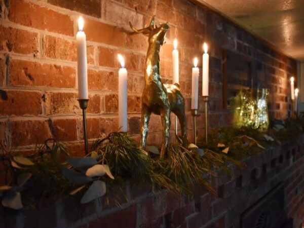 131395273_393593688551893_3755915866985363951_n